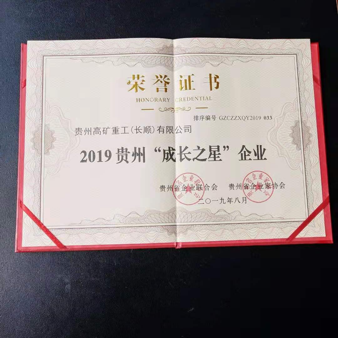 【乐鱼在线网站】中国有限公司荣获2019贵州“成长之星”企业称号